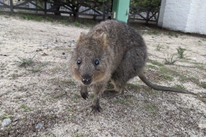 Perth